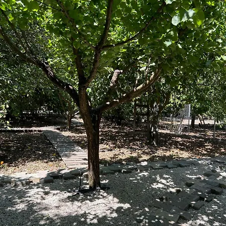 Valencia Grove * Miliou