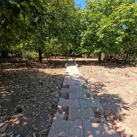 Valencia Grove Willa