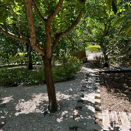 Willa Valencia Grove