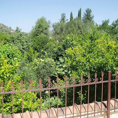 Valencia Grove Miliou
