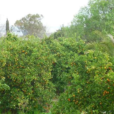 Villa Valencia Grove Miliou