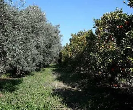 Valencia Grove Miliou