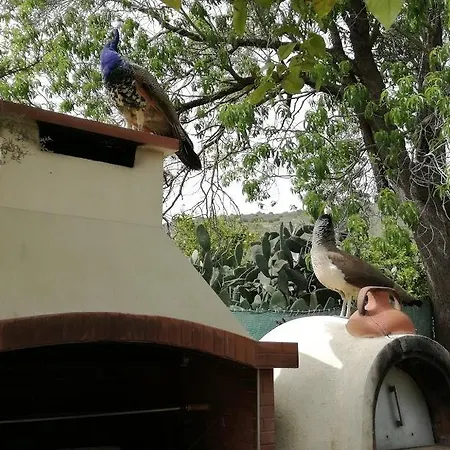 Valencia Grove Villa *