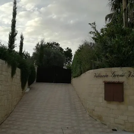 Valencia Grove Miliou