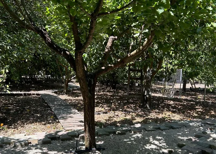 Valencia Grove * Miliou