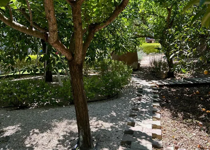 Villa Valencia Grove