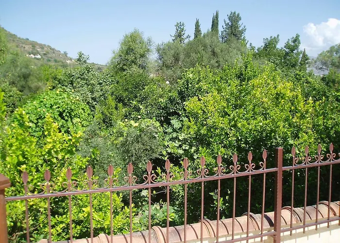 Valencia Grove Miliou