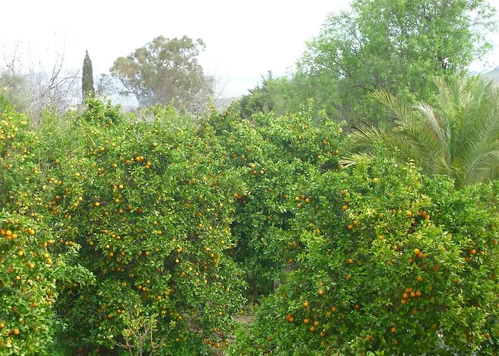 Vila Valencia Grove Miliou