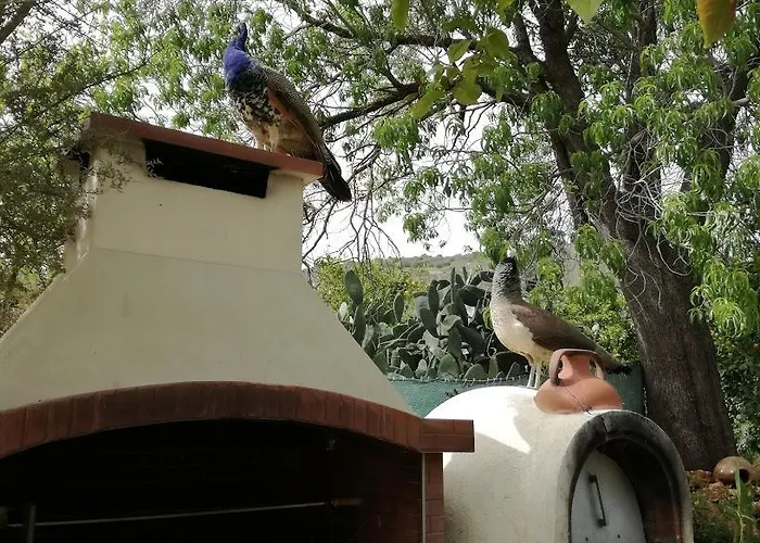 Valencia Grove Vila *